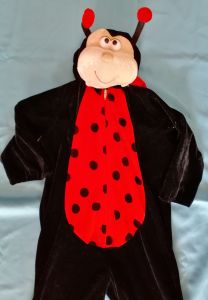 Kids Costumes to Hire - Ladybug Onesie 